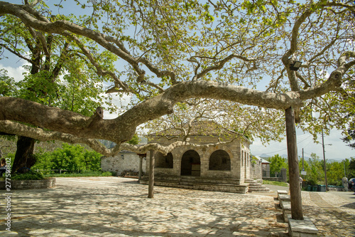 Ioannina village Vitsa in spring season old tranditional houses and green trees photo