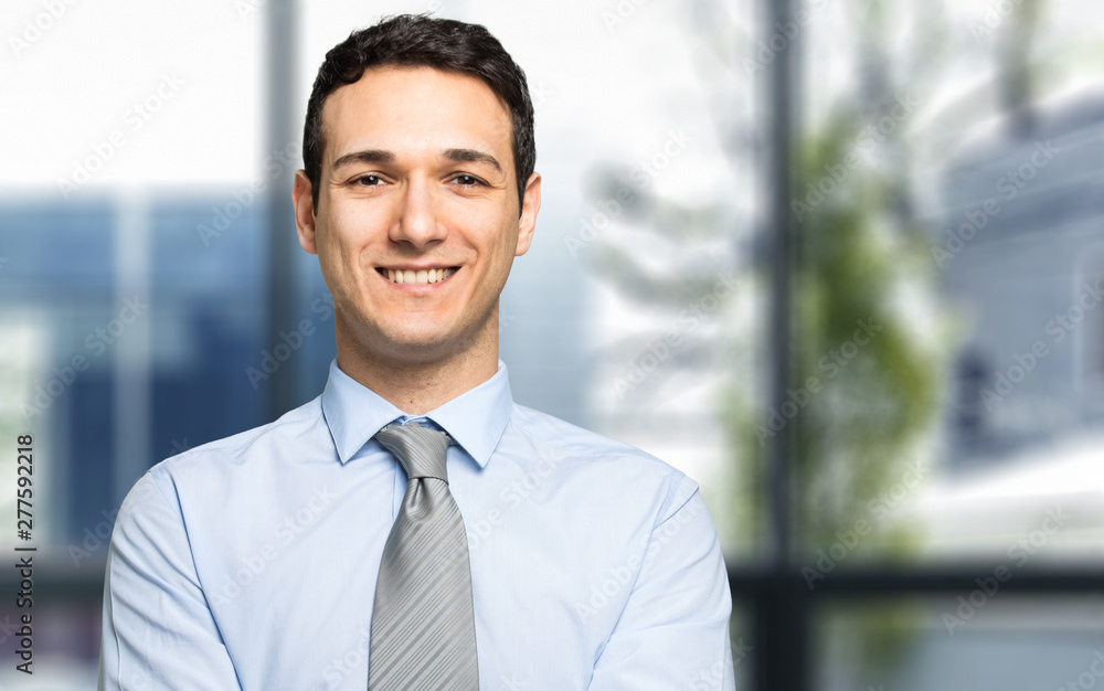 Portrait of a handsome businessman