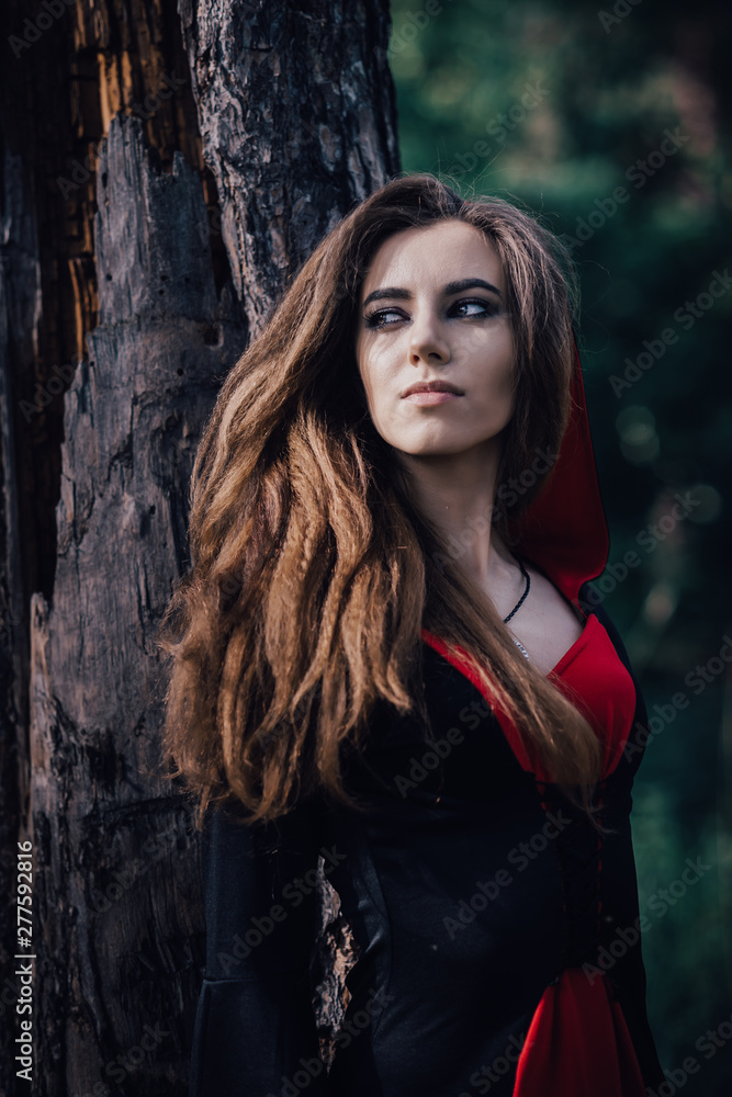Fototapeta premium fairy tale witch in the forest
