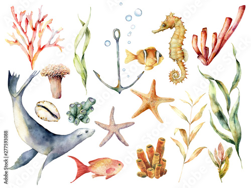 Photography Watercolor underwater wildlife set