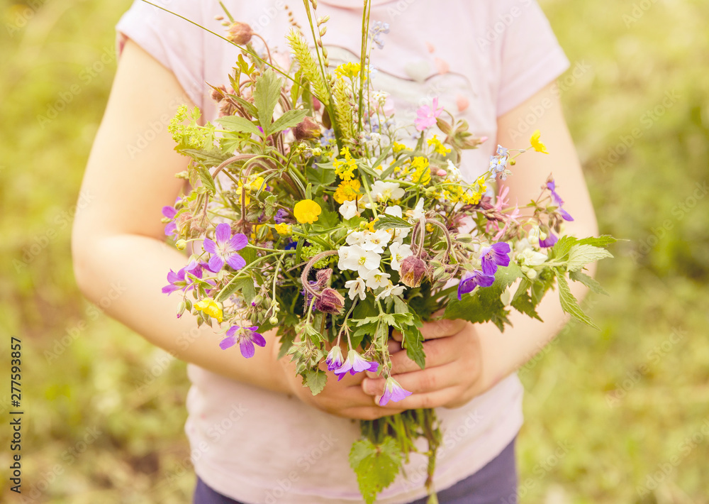 5 year old child holding bouquet of wild Northern European meadow and forest flower in arms. Selective focus on flowers, sunny summer day. Lovely countryside childhood memories concept. 5 year old child holding bouquet of wild Northern European meadow and forest flower in arms. Selective focus on flowers, sunny summer day. Lovely countryside childhood memories concept.