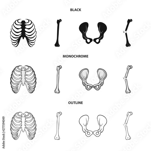 Isolated object of medicine and clinic sign. Set of medicine and medical stock vector illustration.