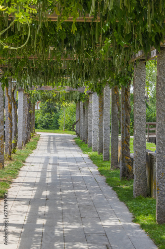 urban park walk in monforte de lemos  lugo  Spain