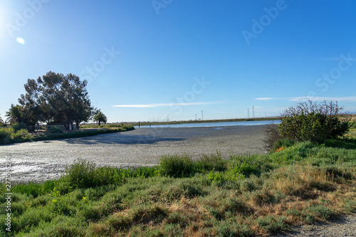 Nice sunlight and blue sky landscape with at Palo Alto  California   USA