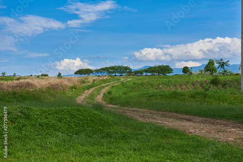 Paisaje camino campo verde con cielo azul nubes cultivo naturaleza