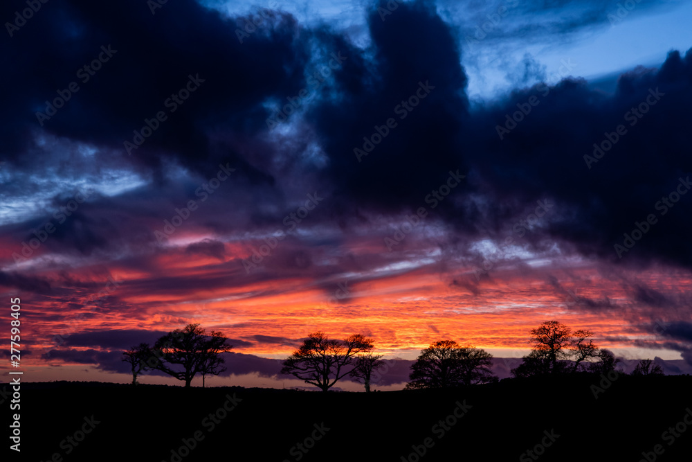 Landscape featuring the silhouette of trees behind beautiful sunset sky in West Dorset, England.