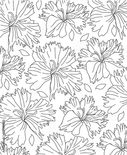 Wallpaper Mural plain background in black and white Torontodigital.ca