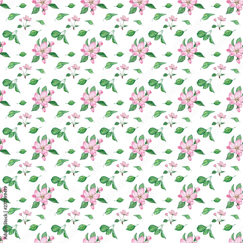 watercolor pattern of flowers and leaves of an apple tree watercolor pattern of flowers and leaves of an apple tree