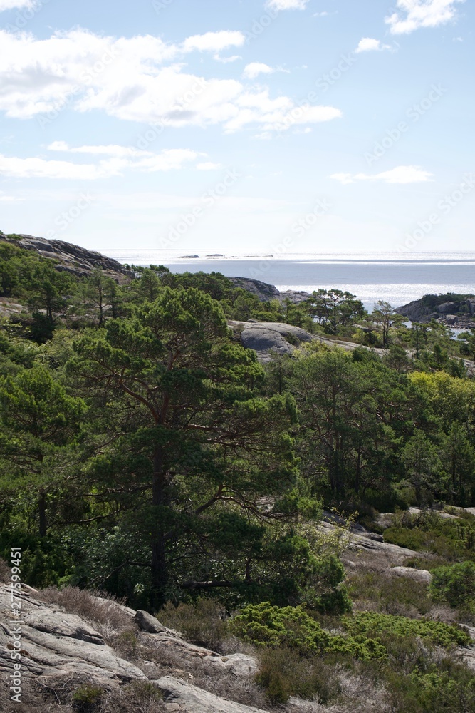 Fototapeta premium View over the ocean southern Norway