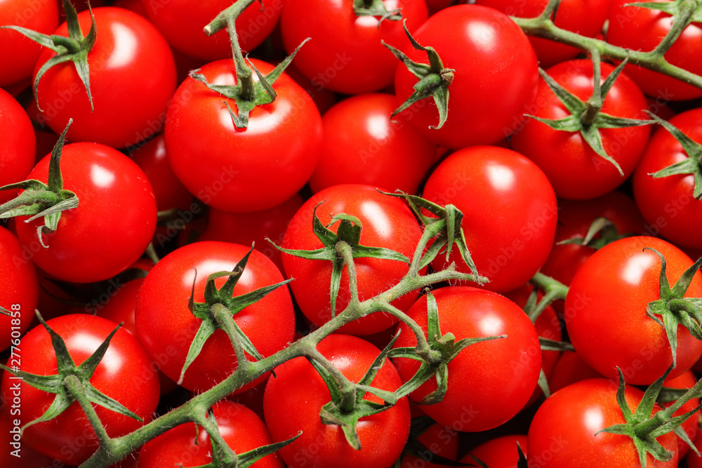 Fresh organic cherry tomatoes as background, closeup