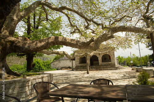 Ioannina village Vitsa in spring season old tranditional houses and green trees photo