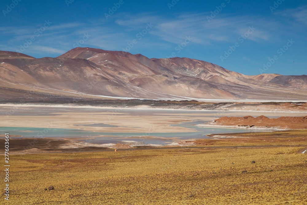 Aguas Calientes, San Pedro De Atacama, Cile