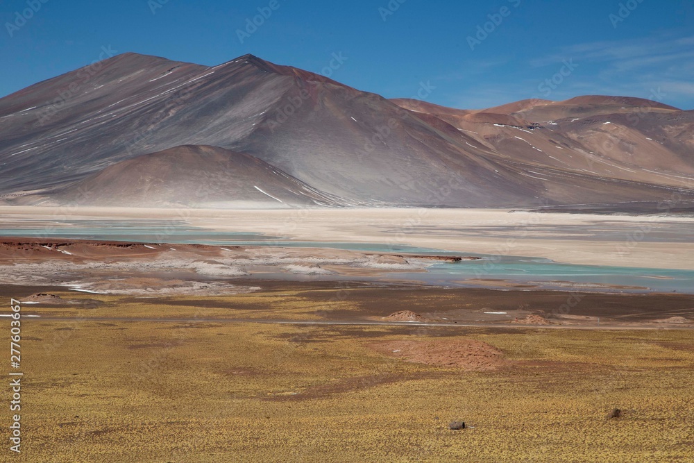 Aguas Calientes, San Pedro De Atacama, Cile