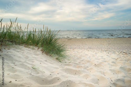 Plaża trawa i Morze Bałtyckie