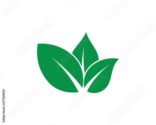 Fototapeta Naklejka Na Ścianę i Meble -  Eco Tree Leaf Logo  shutterstock