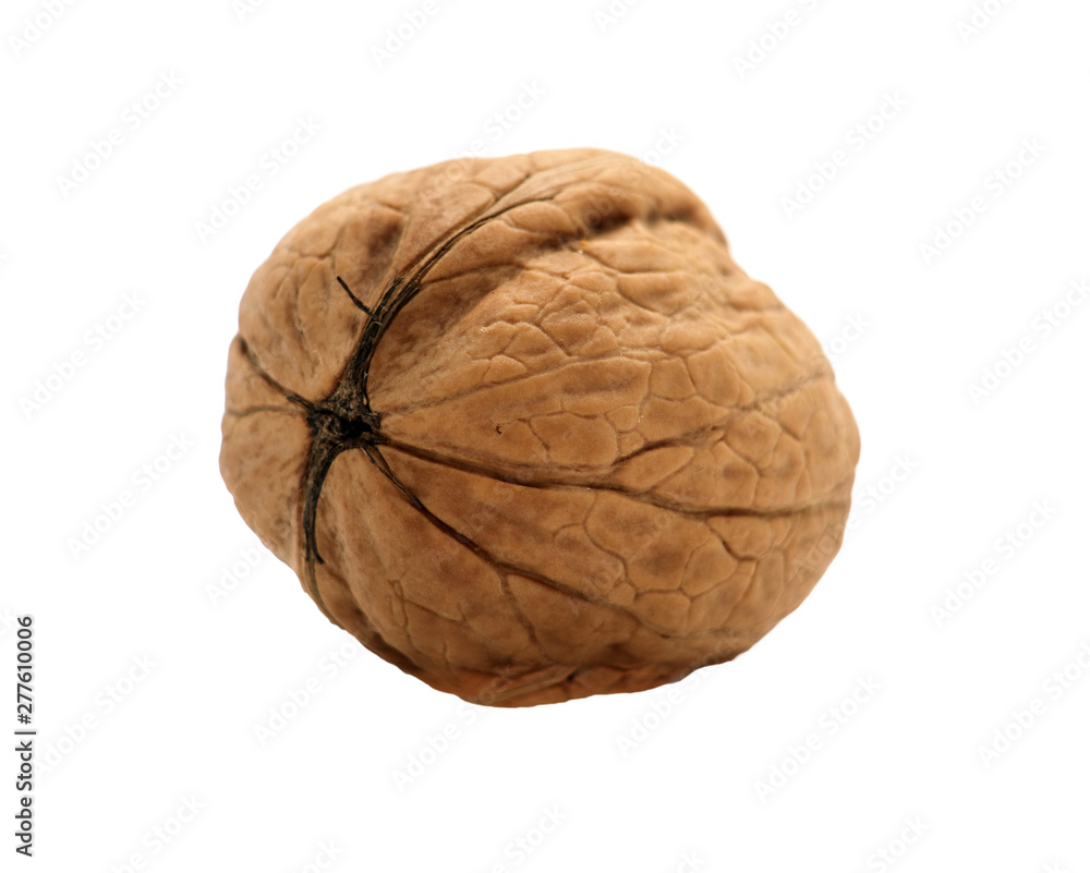 walnut isolated on white background walnut isolated on white background