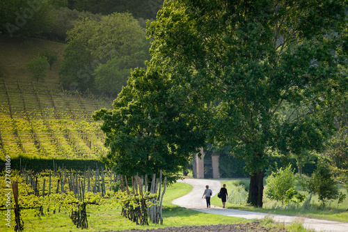 Padova countryside near Praglia abbey