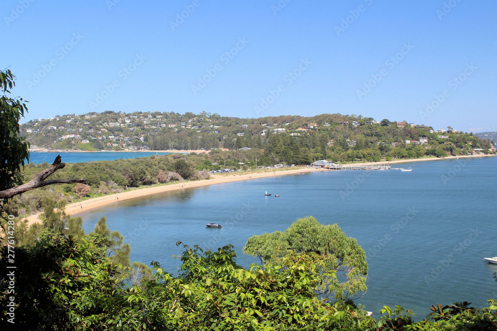 Obraz premium Palm Beach Blue Ocean Waves Australia