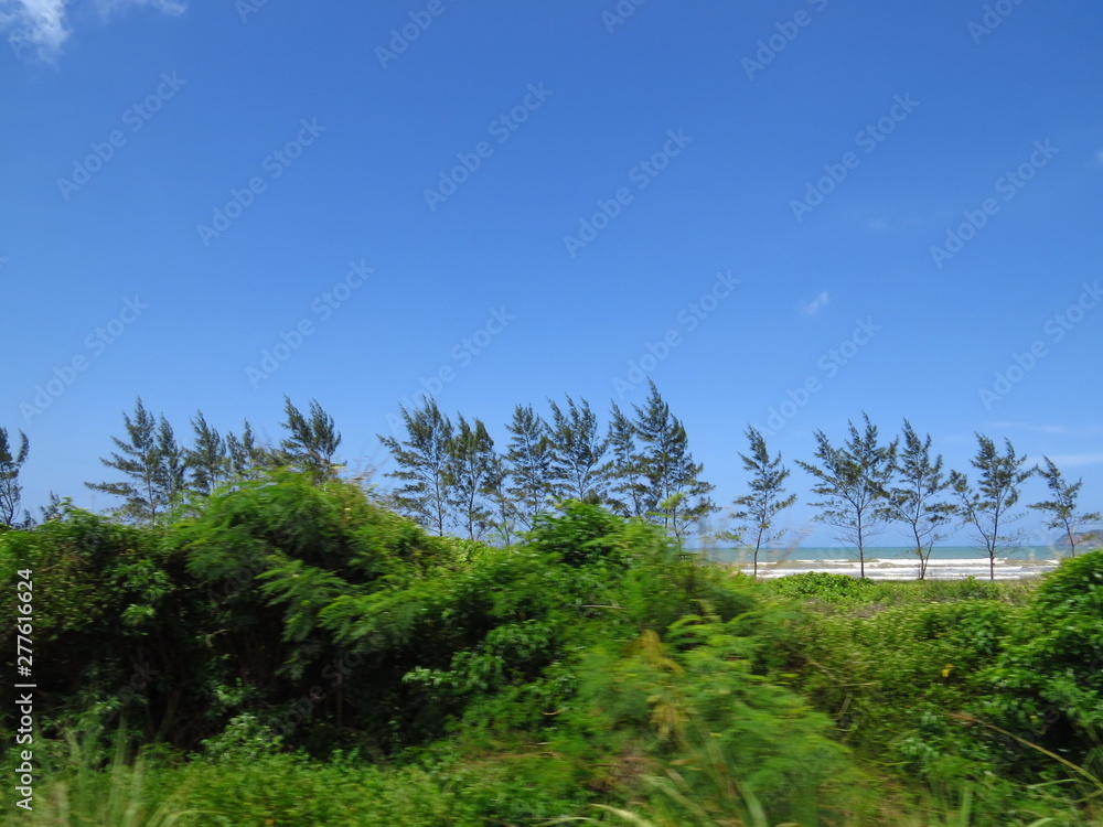 Deep Contrast Blue and Green Beach