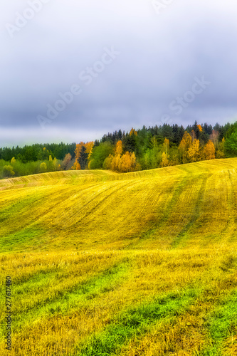 Beautiful Fall Landscape with Wavy Colorful Fields Under rainy Grey Skies.