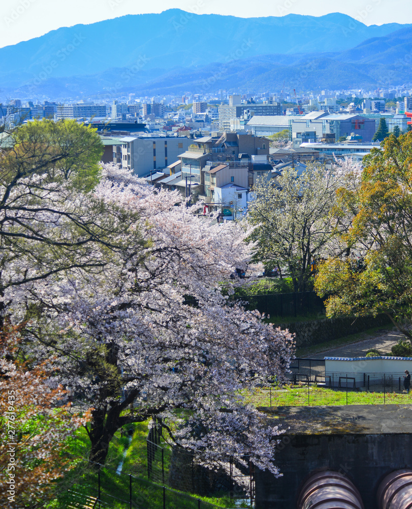Fototapeta premium Cityscape of Kyoto, Japan