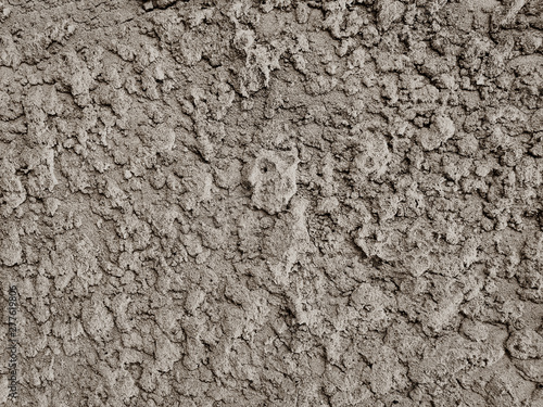 Gray grunge stucco wall background texture