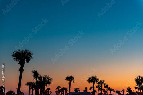 Silhouette of palm trees leaves against sky in Siesta Key, Sarasota, Florida with orange blue sky in beach parking lot