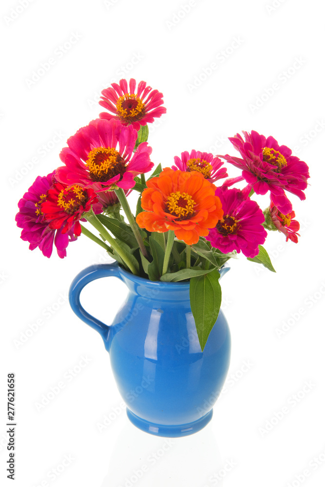 Vase Zinnias from the garden Vase Zinnias from the garden
