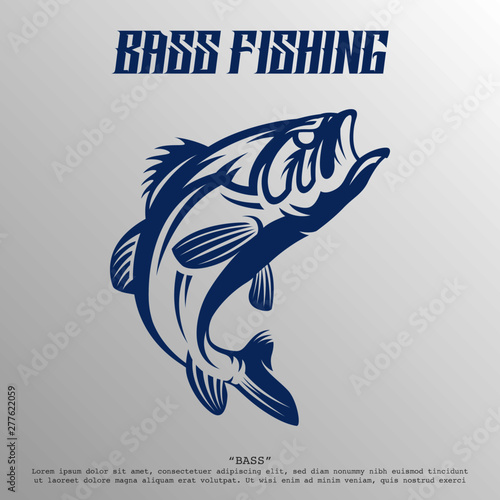 Bass Fish Logo illustration