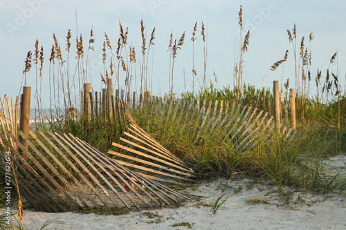 Sand Fences Protect the Sea Oats and Dunes in Jacksonville Beach, Florida photo