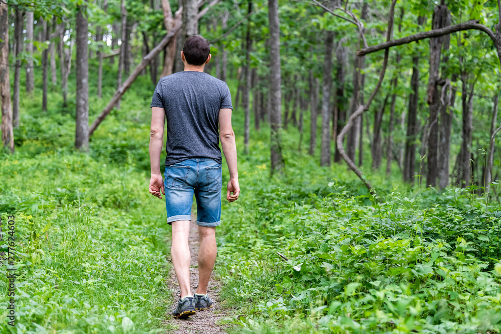 Young man back walking on Appalachian nature trail in Shenandoah Blue Ridge mountains with green grass lush foliage on path Young man back walking on Appalachian nature trail in Shenandoah Blue Ridge mountains with green grass lush foliage on path