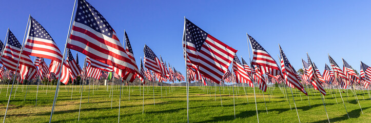 A large group of American flags. Veterans or Memorial day display