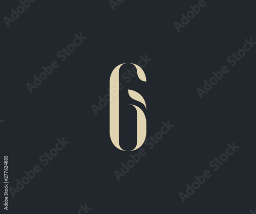 luxury letter G initial  logo design element