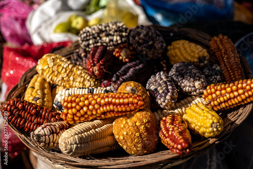 Foto Peruvian corn harvest in the highlands of Pisac in Cusco, Peru