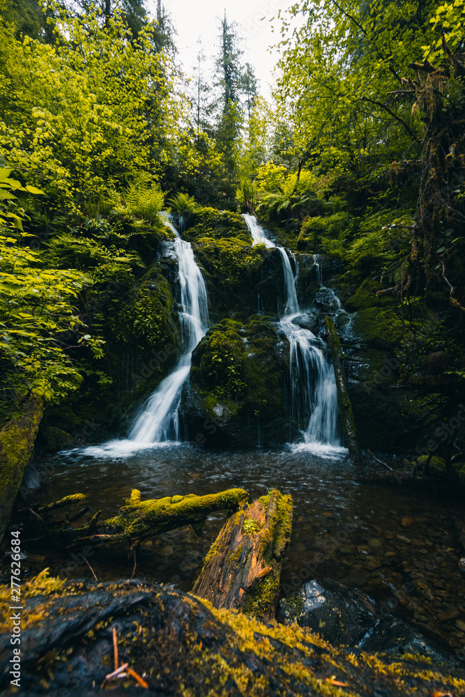 Cascade Falls, Quinault Loop Trail, Quinault lake and rain forest, Olympic National Park, Washington, Travel USA, tourism, nature, landscape, holiday, vacation, hiking, outdoors