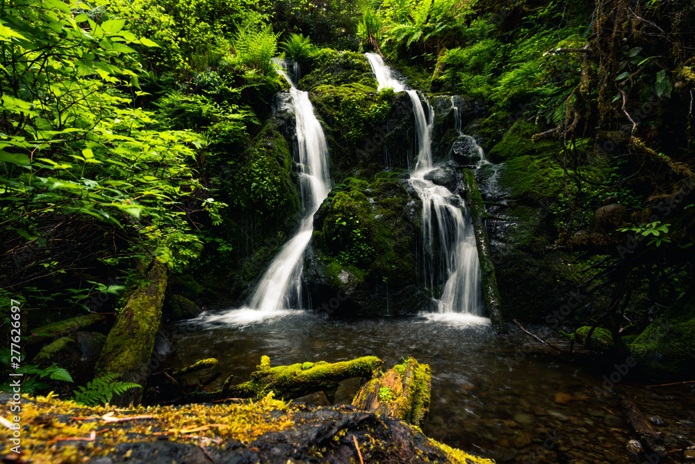 Naklejka premium Cascade Falls, Quinault Loop Trail, Quinault lake and rain forest, Olympic National Park, Washington, Travel USA, tourism, nature, landscape, holiday, vacation, hiking, outdoors