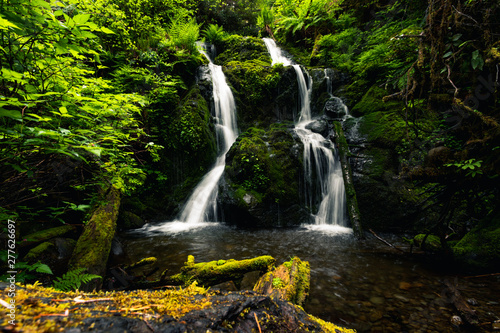 Cascade Falls  Quinault Loop Trail  Quinault lake and rain forest  Olympic National Park  Washington  Travel USA  tourism  nature  landscape  holiday  vacation  hiking  outdoors