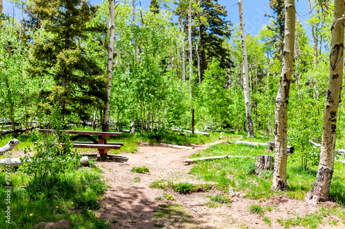 Santa Fe National Forest park Sangre de Cristo mountains with trail and green aspen trees in spring with picnic table photo