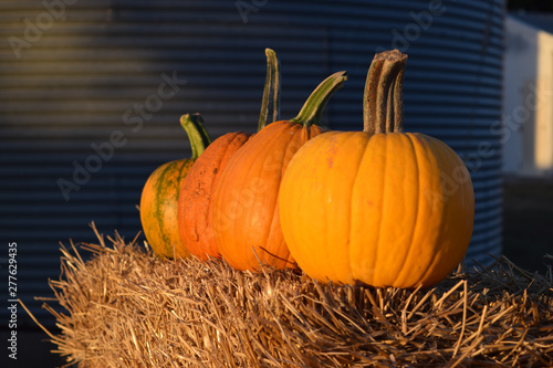 Pumpkins on a Hay Bale at the Pumpkin Patch