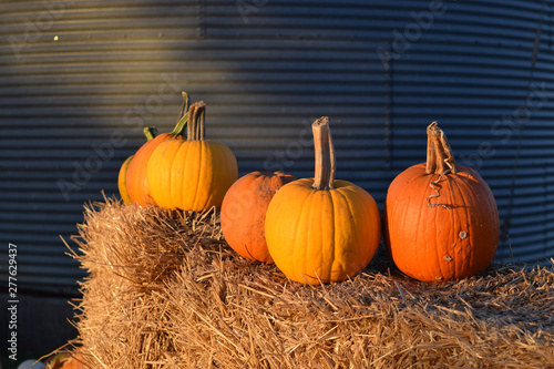 Pumpkins on a Hay Bale at the Pumpkin Patch