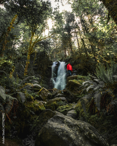 Merriman falls are situated at the Lake Quinault in Olympic National Park, Washington, United States of America, Travel USA, landscape, nature, adventure, outdoor photo