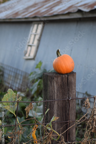 Pumpkin atop a wooden fence post near an old farm building