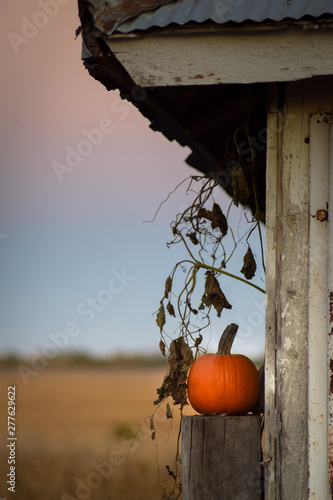 Pumpkin on a post near an old farm building