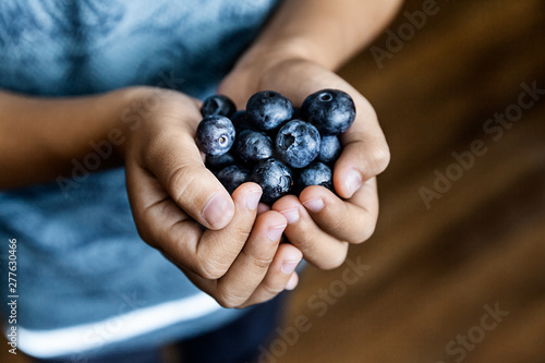 A boy holding natural fresh blueberries, summer harvest and healthy eating concept