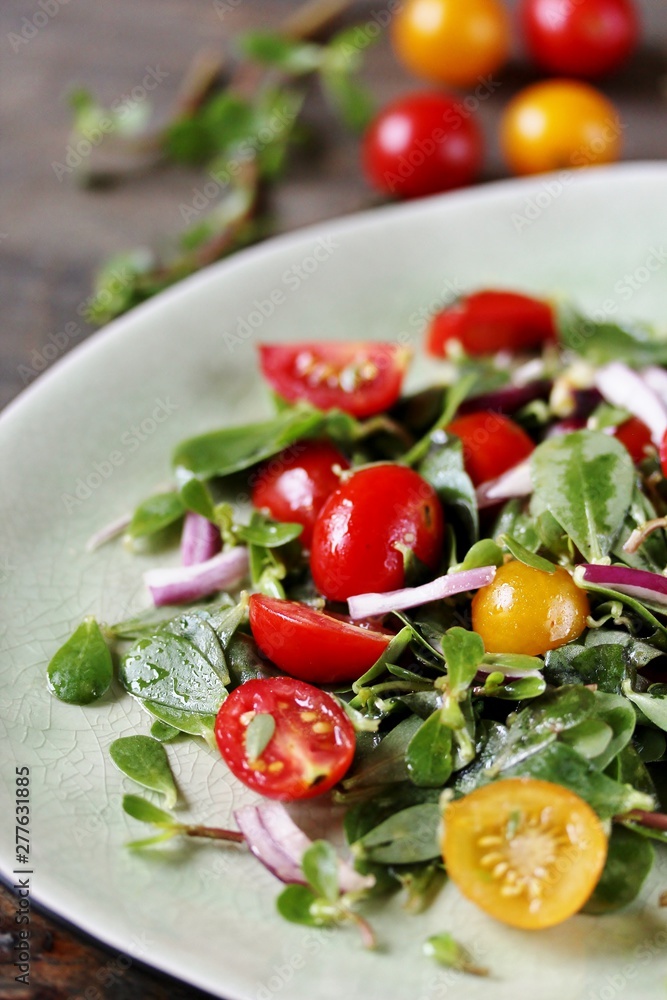 salad with purslane and cherry tomatoes. concept of organic food from the environment. edible weeds and grass. Purslane is a useful herb. eat the weeds, wild food, eat wild food, wild greens salad with purslane and cherry tomatoes. concept of organic food from the environment. edible weeds and grass. Purslane is a useful herb. eat the weeds, wild food, eat wild food, wild greens