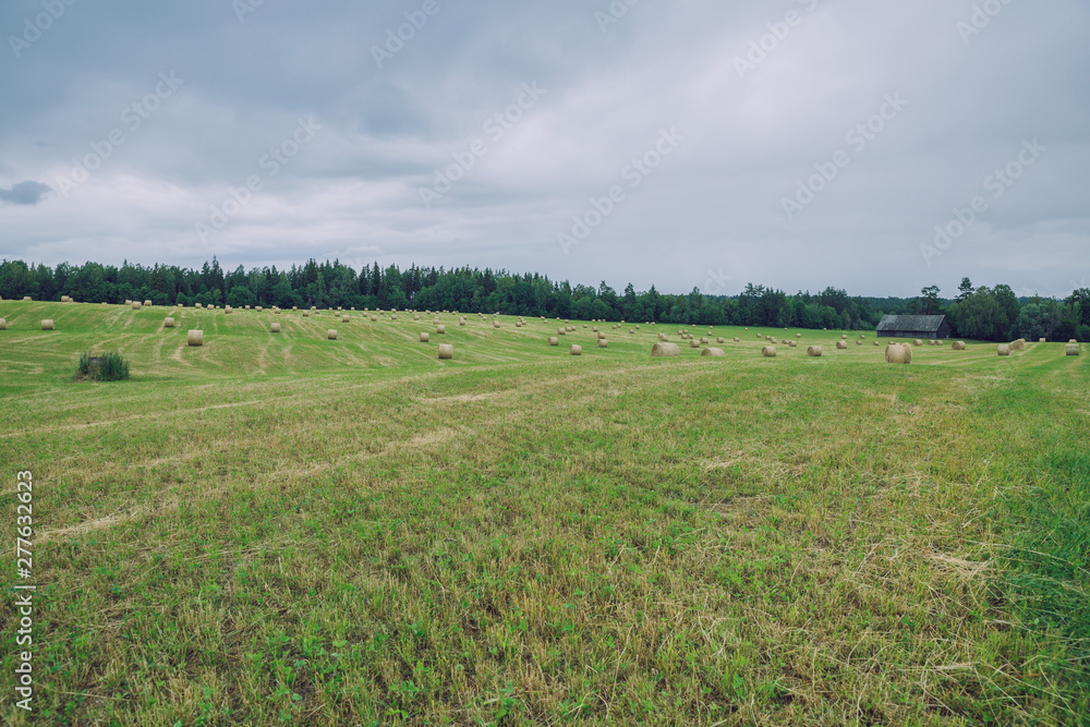 City Cesis, Latvia Republic. Overcast day, meadow hay rolls and trees around. July 7. 2019 Travel photo.