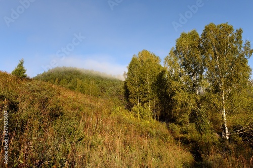  Early morning in the mountains of Altai Krai. Western Siberia