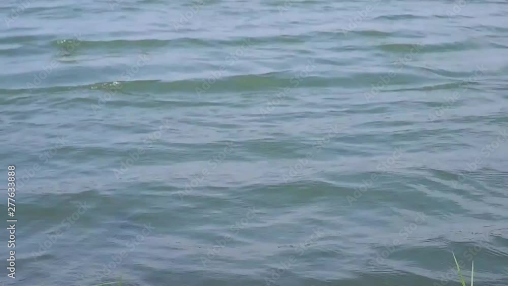 SLOW MOTION Close up of wave lake water in the day SLOW MOTION Close up of wave lake water in the day