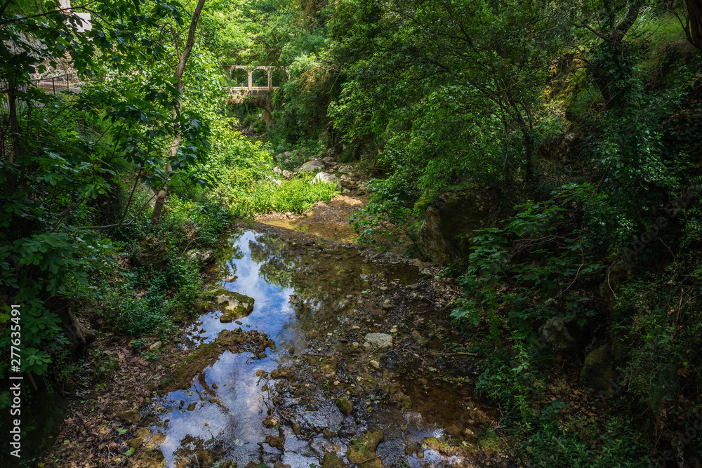 River in an abandoned garden River in an abandoned garden