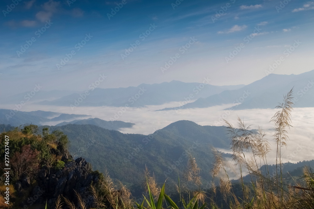 Mountain view morning above top hill, forest and mekong river around with sea of fog and blue sky background, sunrise at Pha Tang, attraction in Chiang Rai, northern of Thailand.